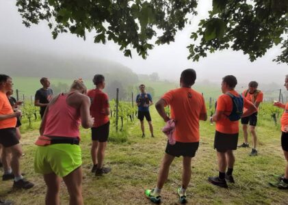 11 Wijngaarden Trailrun 2020