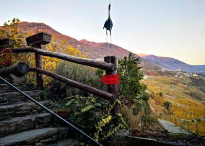 Valtellina Wine Trail reis 2021