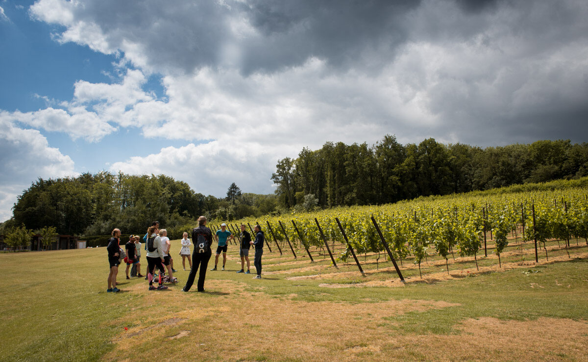 De Limburgse 11 wijngaarden tocht