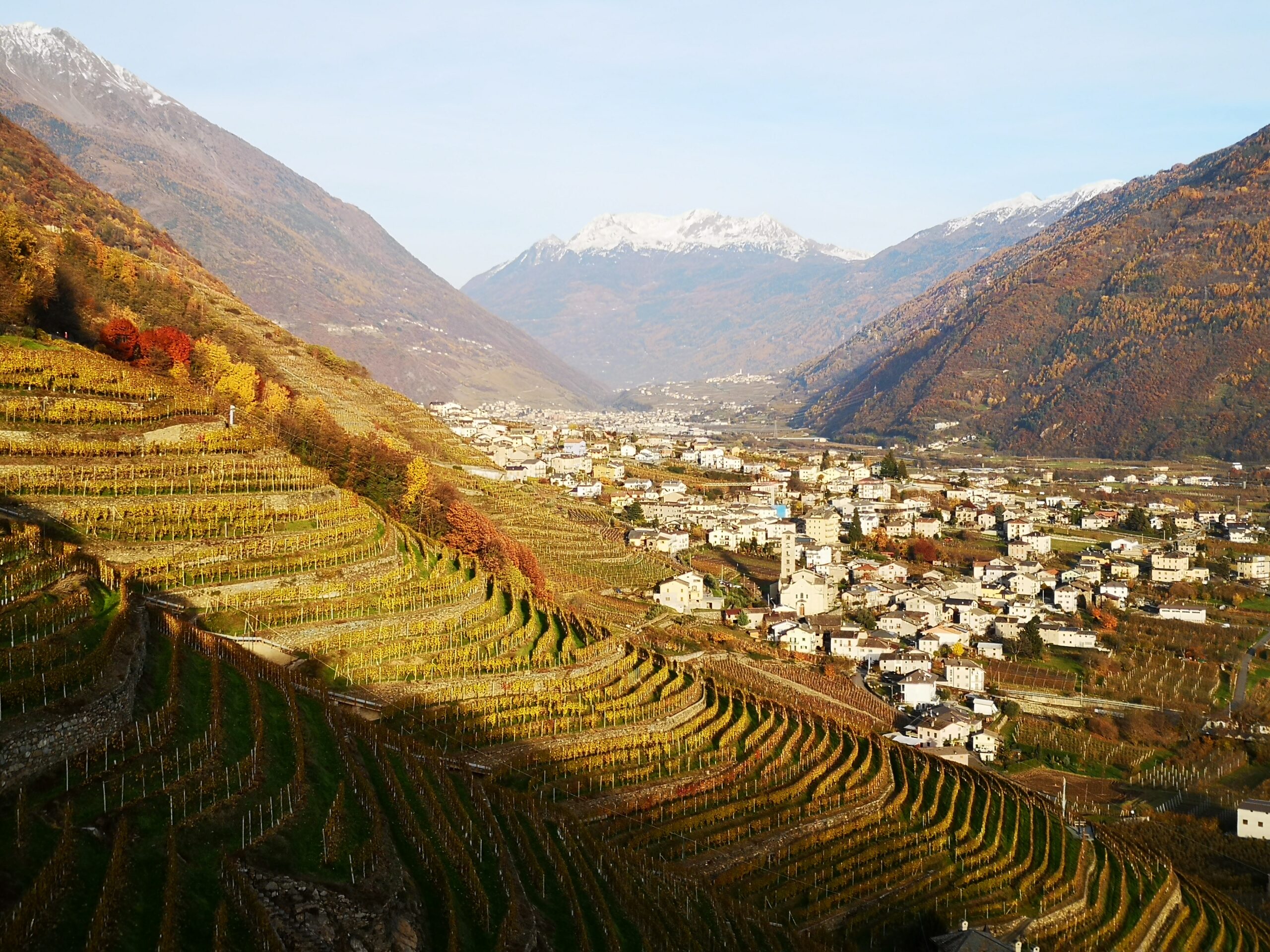 Reisverslag Valtellina WineTrail 2021