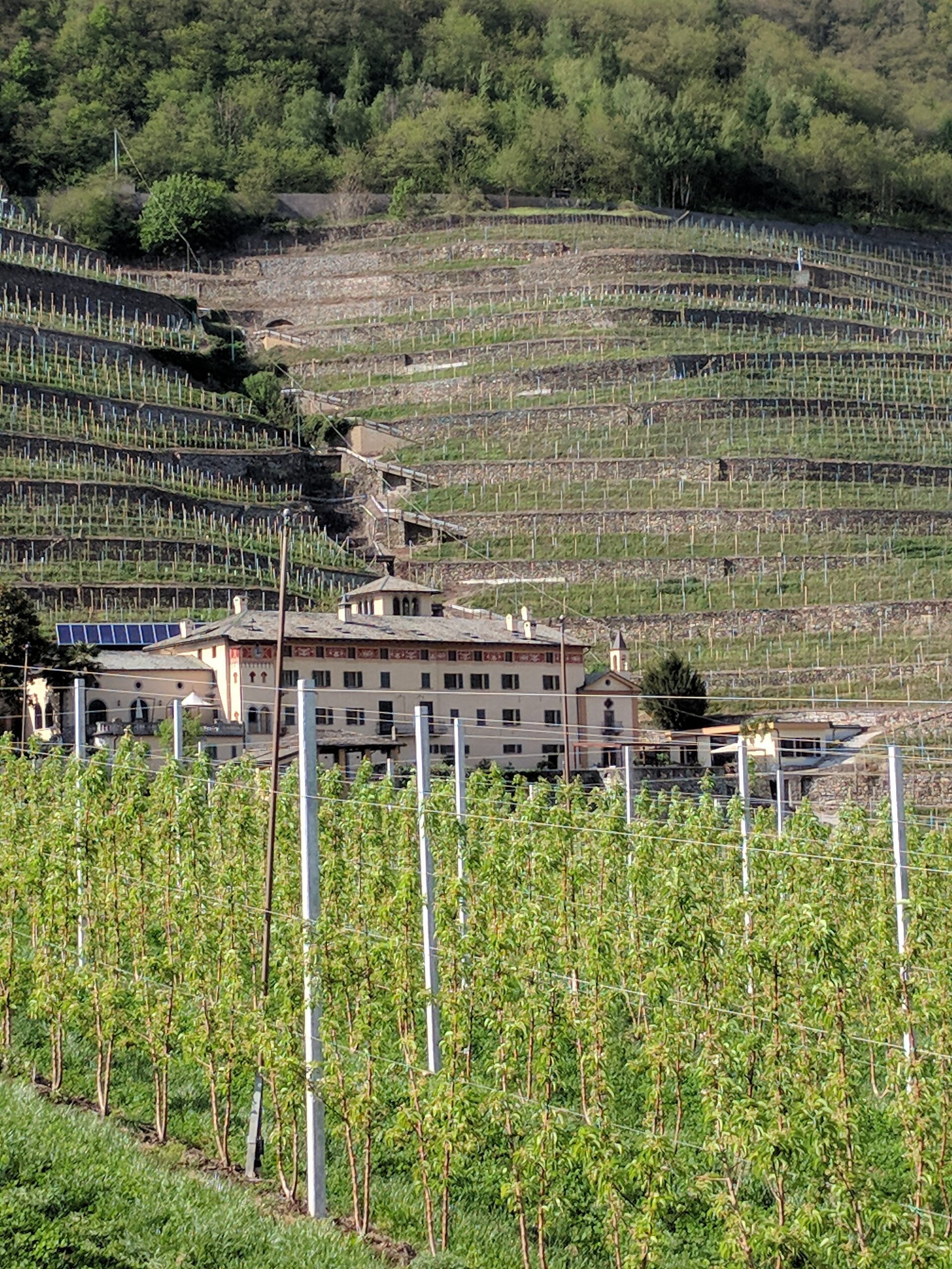 Valtellina Wine Trail teasers
