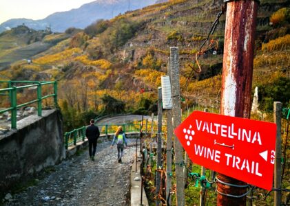 Valtellina WineTrail 2027 – wijnreis