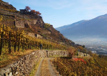 Valtellina Wine Trail verslag 2021
