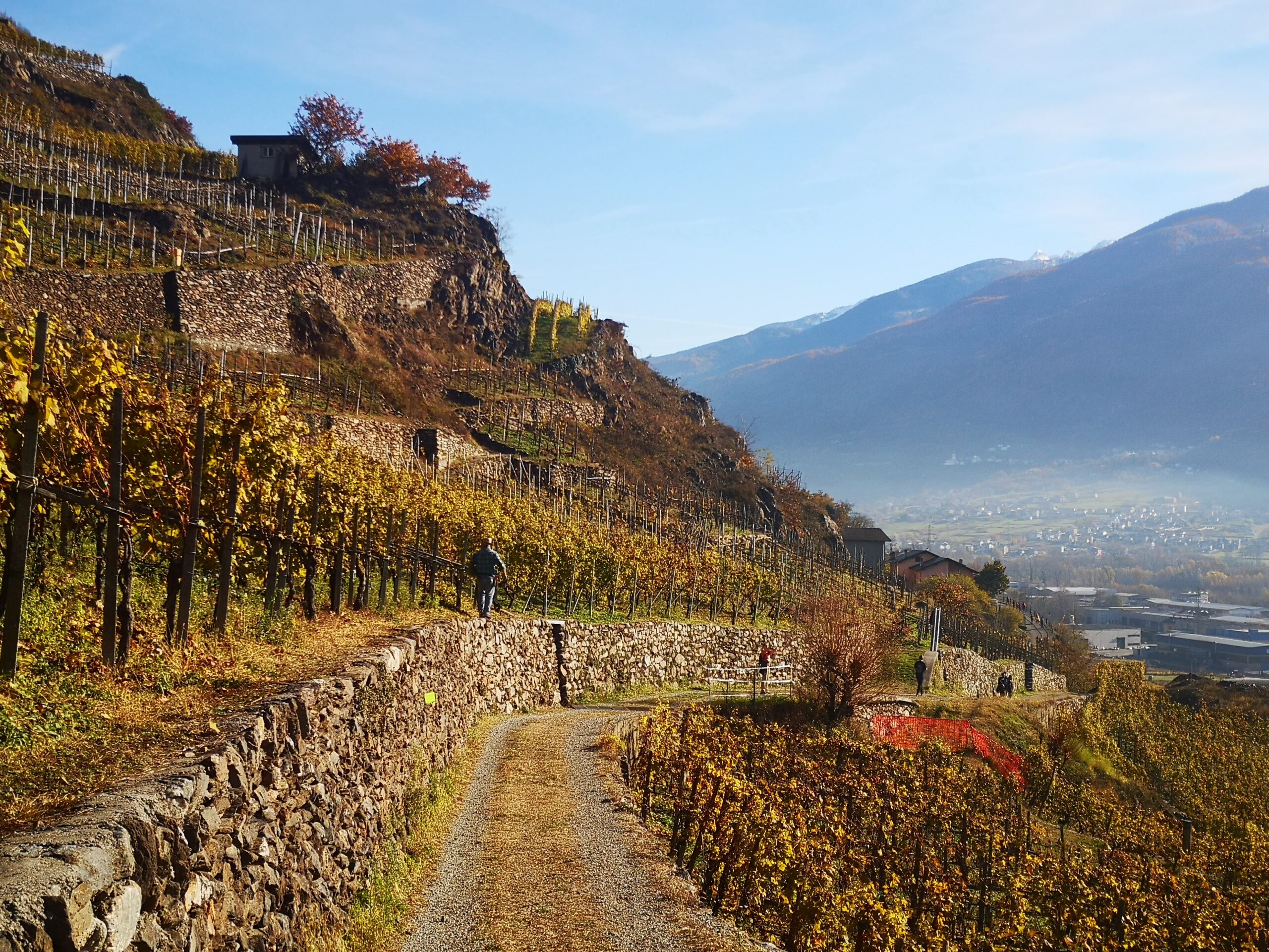 Valtellina Wine Trail verslag 2021