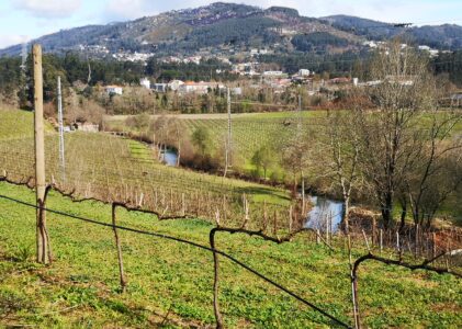 Portugal: Vinho Verde