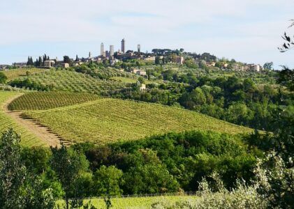 Poderi del Paradiso
