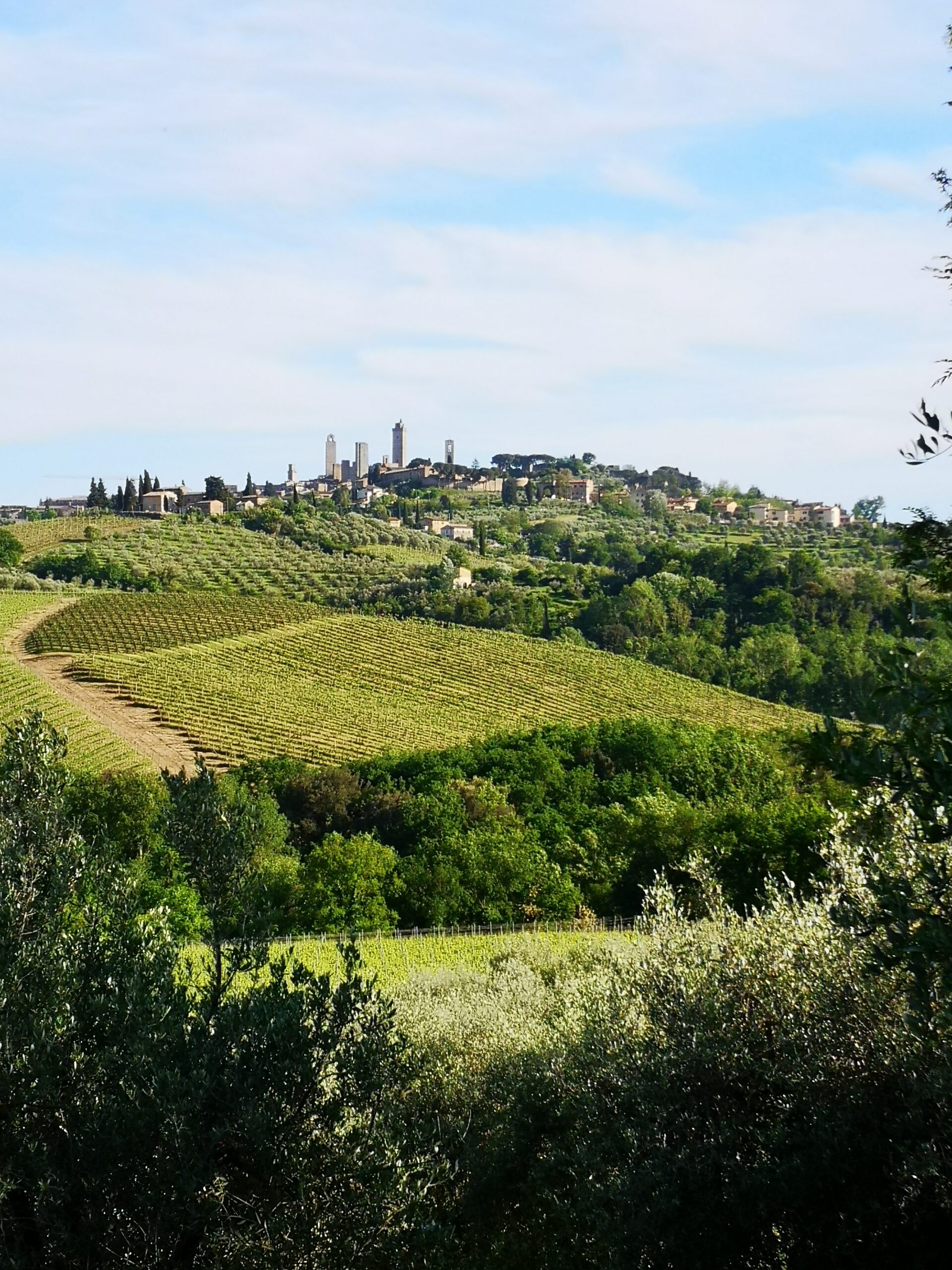 Limburg Wine