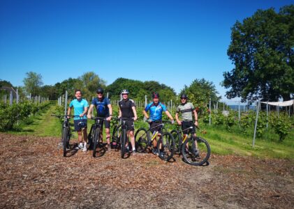 Limburg Wine Tours 2026