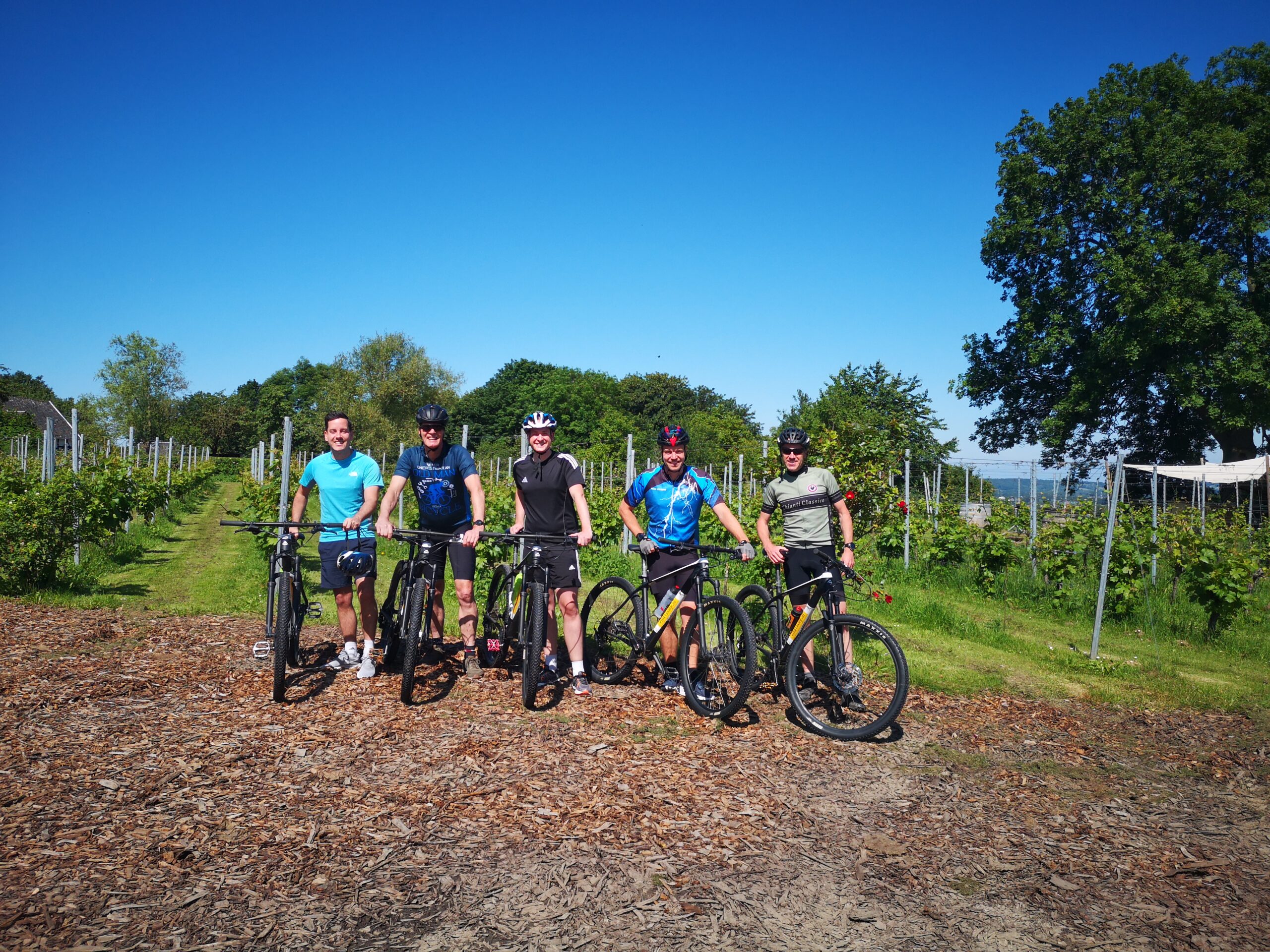 Limburg Wine Tours 2026