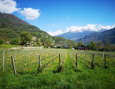 Valle dei Segni Trail
