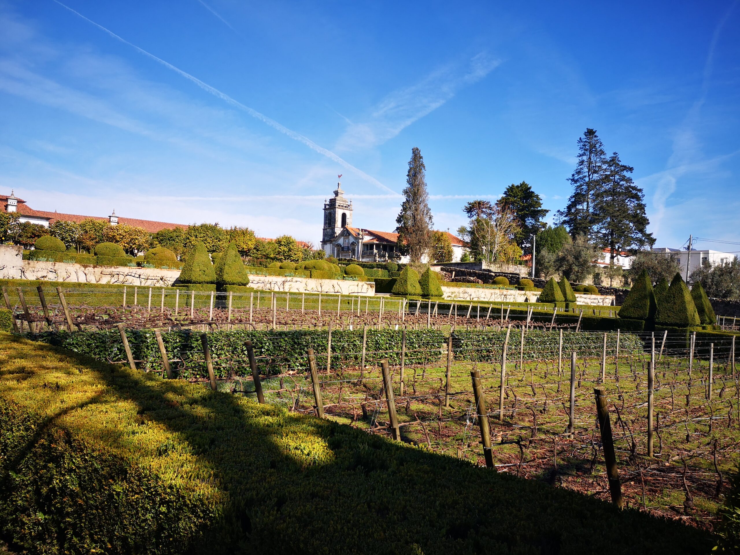 Dão – Santar Vila Jardim